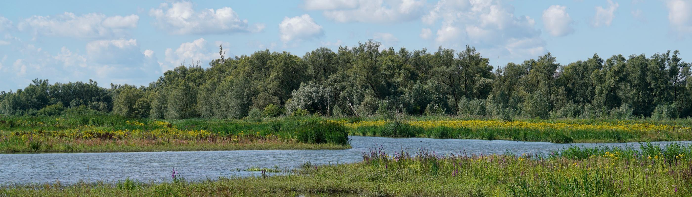 Noordwaard, foto: Twan Teunissen