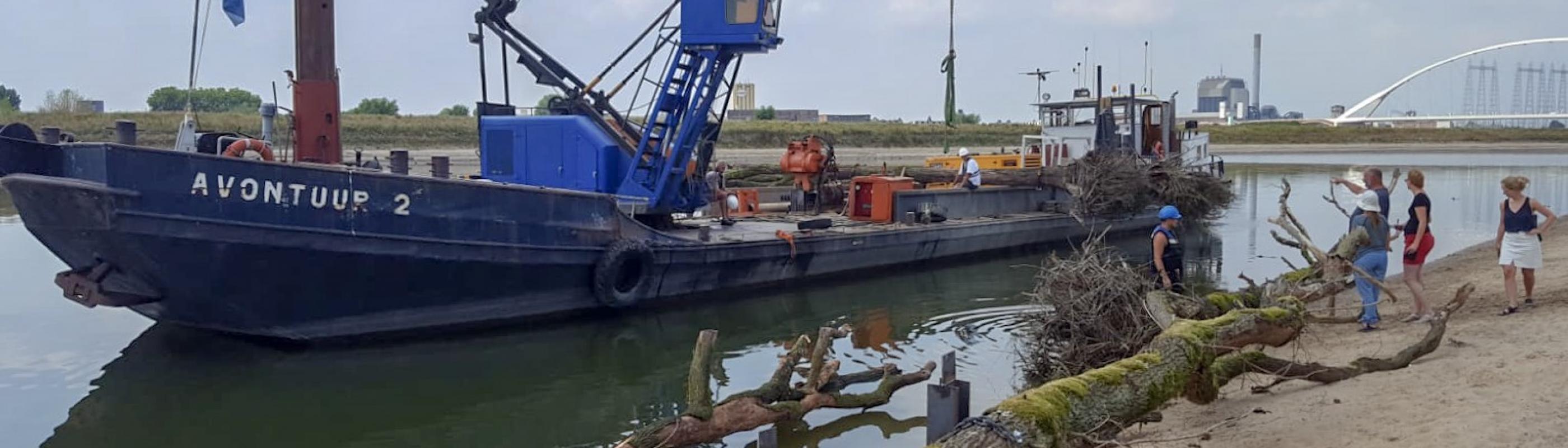 Plaatsing rivierhout Spiegelwaal, foto: Bart Beekers