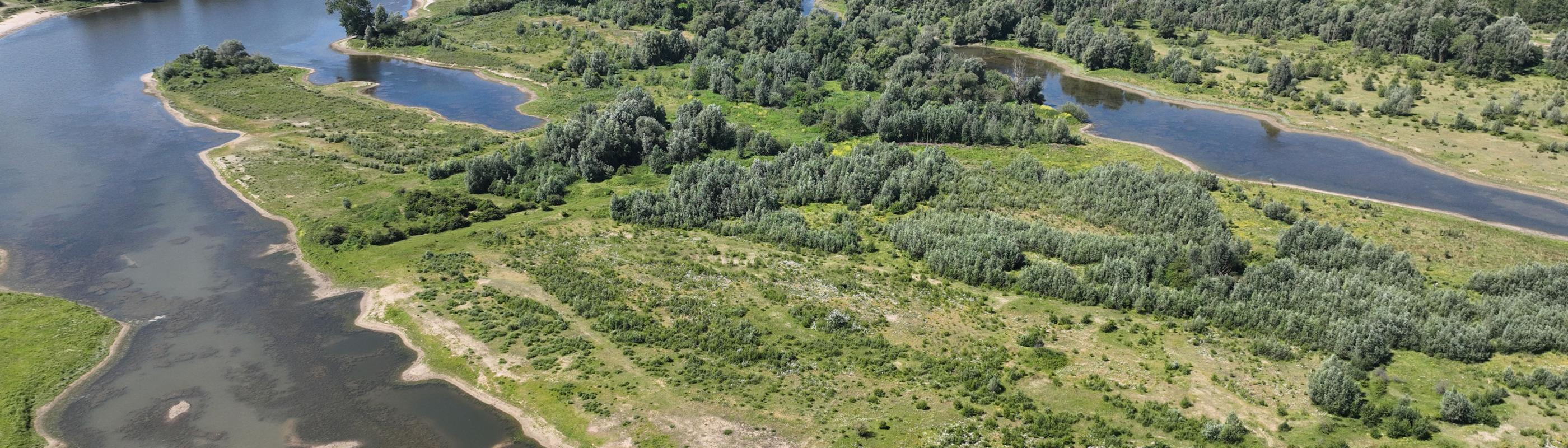 De Millingerwaard in 2022 - een prachtig voorbeeld hoe natuur en waterveiligheid kunnen samengaan. Foto: Peter Veldt/Stroming/ARK Rewilding Nederland De Millingerwaard in 2022 - een prachtig voorbeeld hoe natuur en waterveiligheid kunnen samengaan. Foto: Peter Veldt/Stroming/ARK Rewilding Nederland