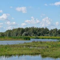 Noordwaard, foto: Twan Teunissen