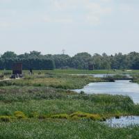 Noordwaard, foto: Twan Teunissen