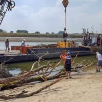 Plaatsing rivierhout Spiegelwaal, foto: Bart Beekers