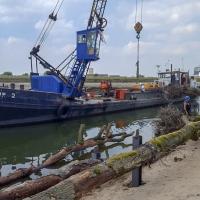 Plaatsing rivierhout Spiegelwaal, foto: Bart Beekers