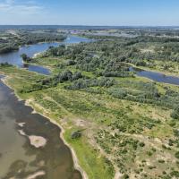 De Millingerwaard in 2022 - een prachtig voorbeeld hoe natuur en waterveiligheid kunnen samengaan. Foto: Peter Veldt/Stroming/ARK Rewilding Nederland