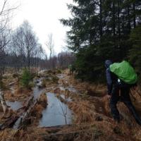 De sponswerking van een natuurgebied in actie.