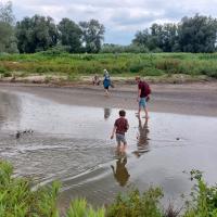 Pootjebaden op de Ewijkse Plaat
