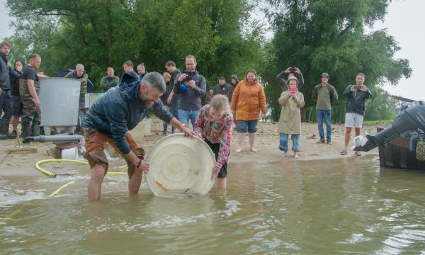Uitzet van 90 steuren bij Woudrichem