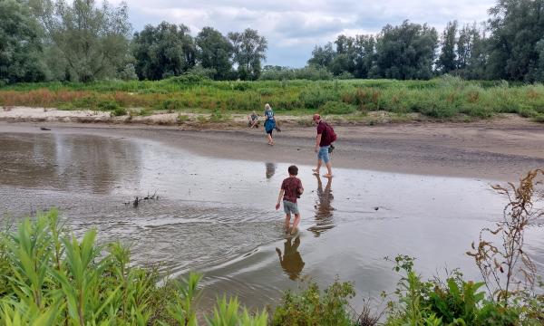 Pootjebaden op de Ewijkse Plaat